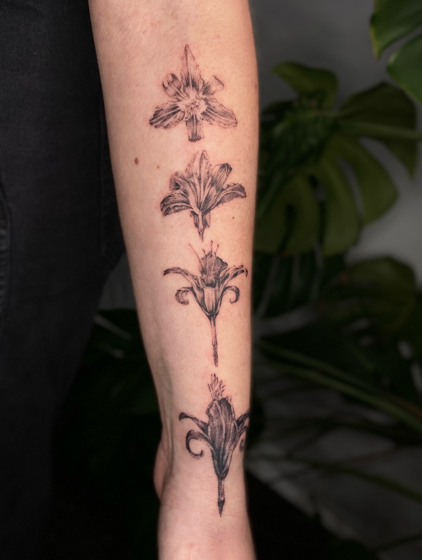 Lilies black and grey tattoo on the forearm by Olivia