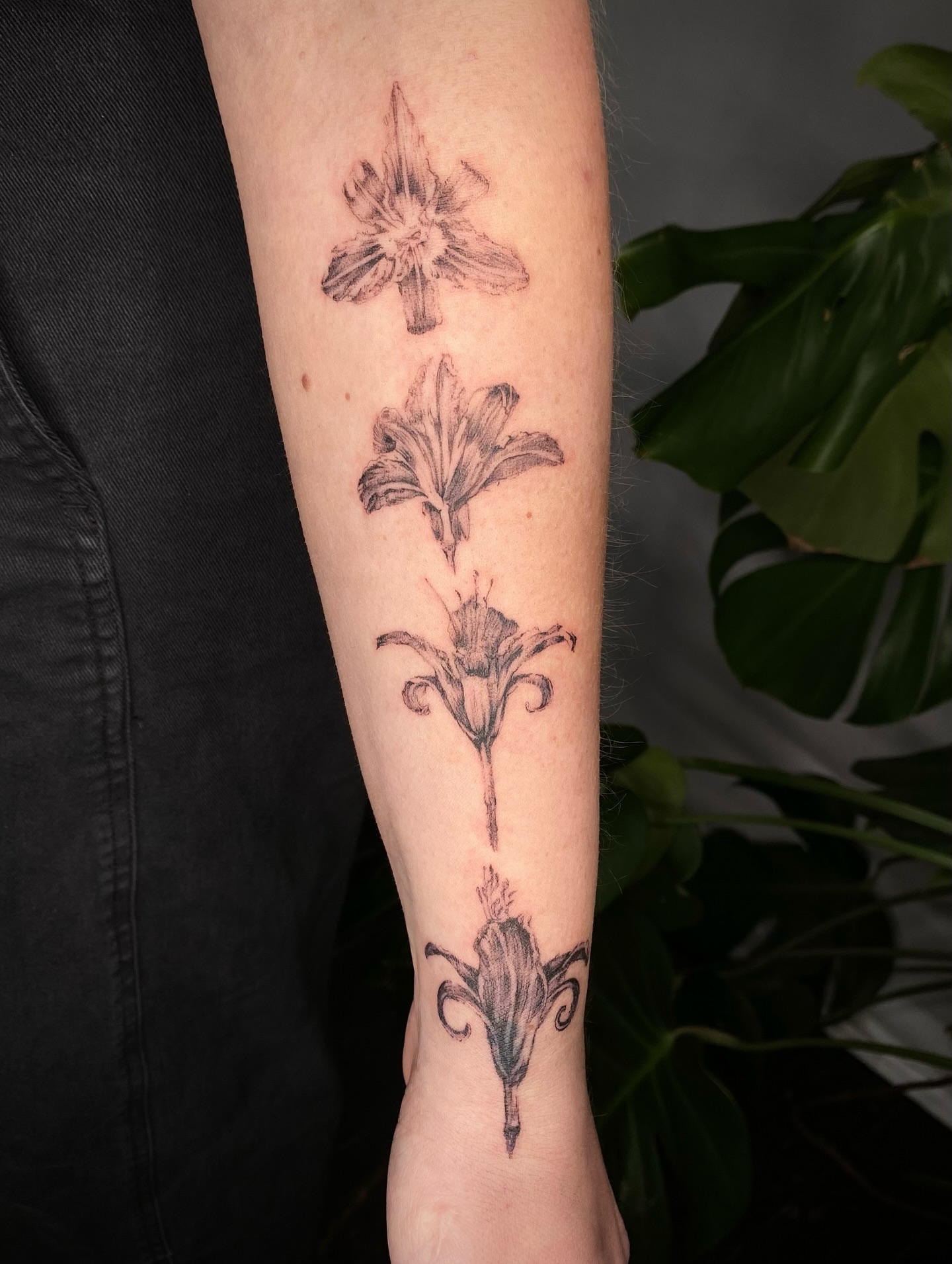 Tattoo by @cowgurl_bebop — black_and_grey