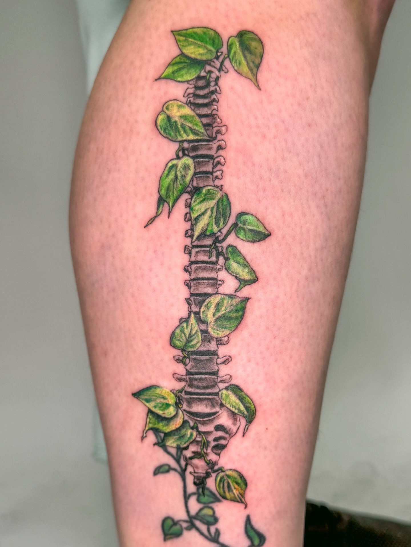 Spine with ivy realism tattoo on the calf by Tiffany