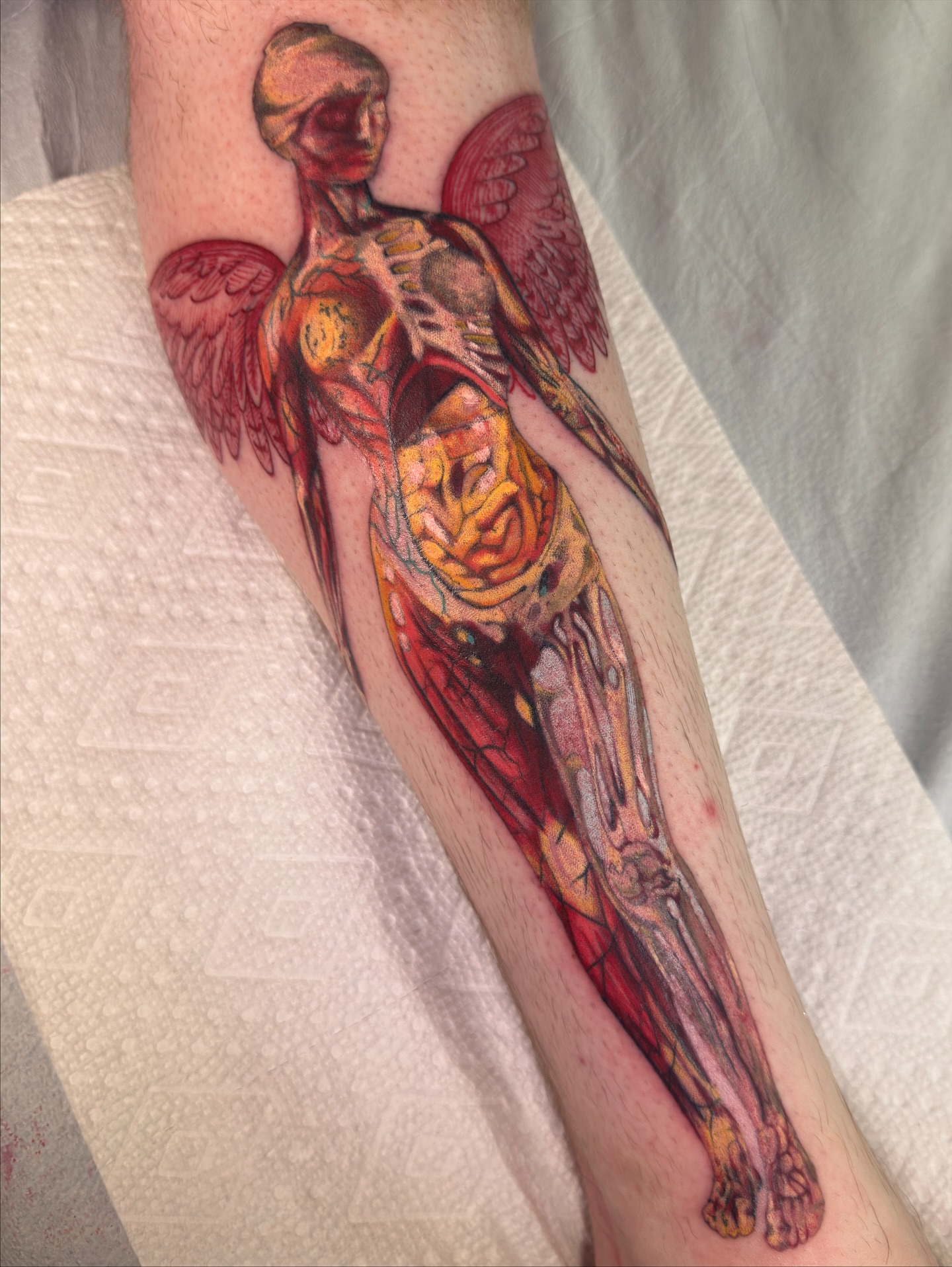 Anatomical angel realism tattoo on the forearm by Scott Kulikowski