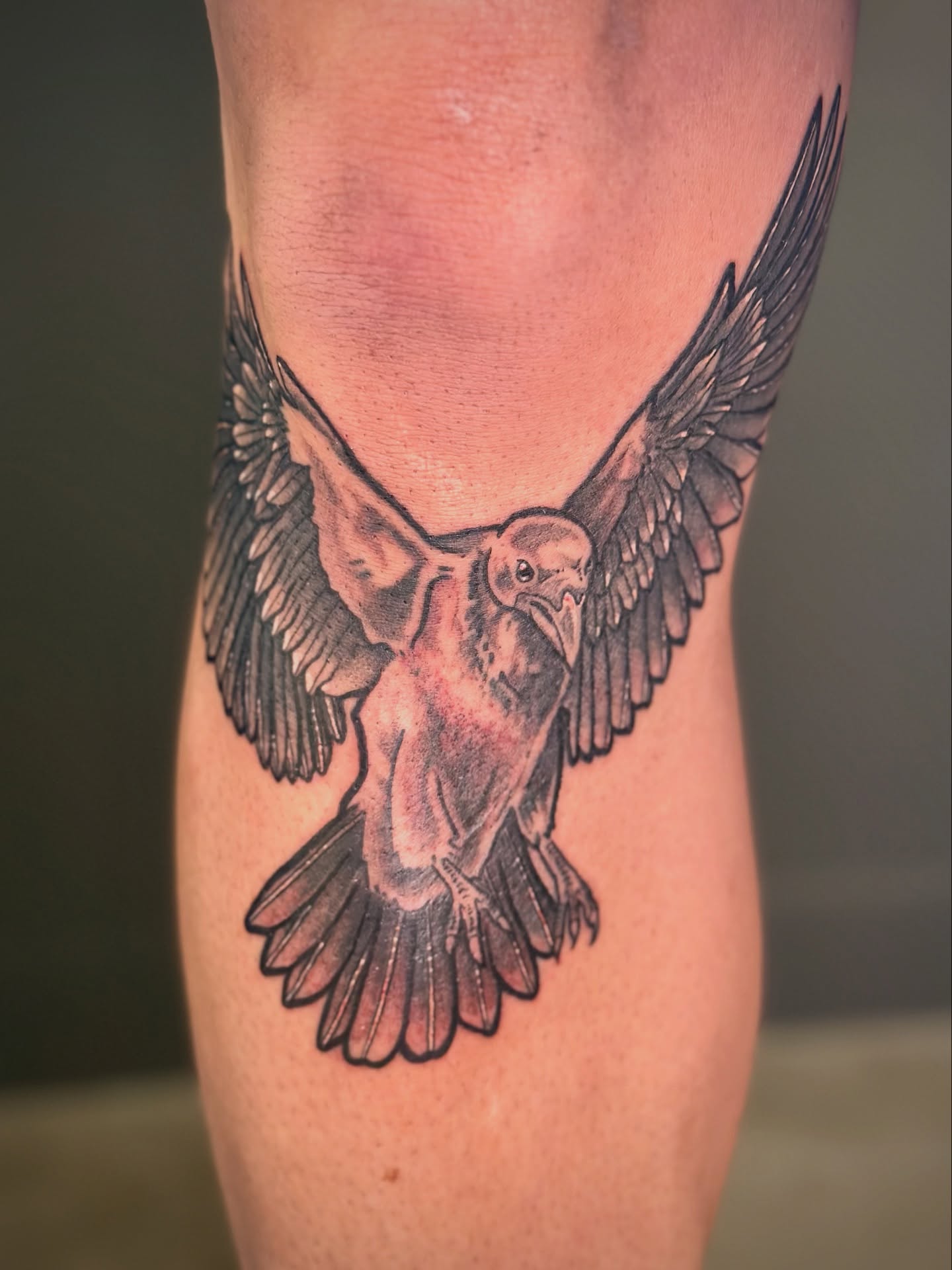 Bird realism tattoo on the leg by Maddie Morrill