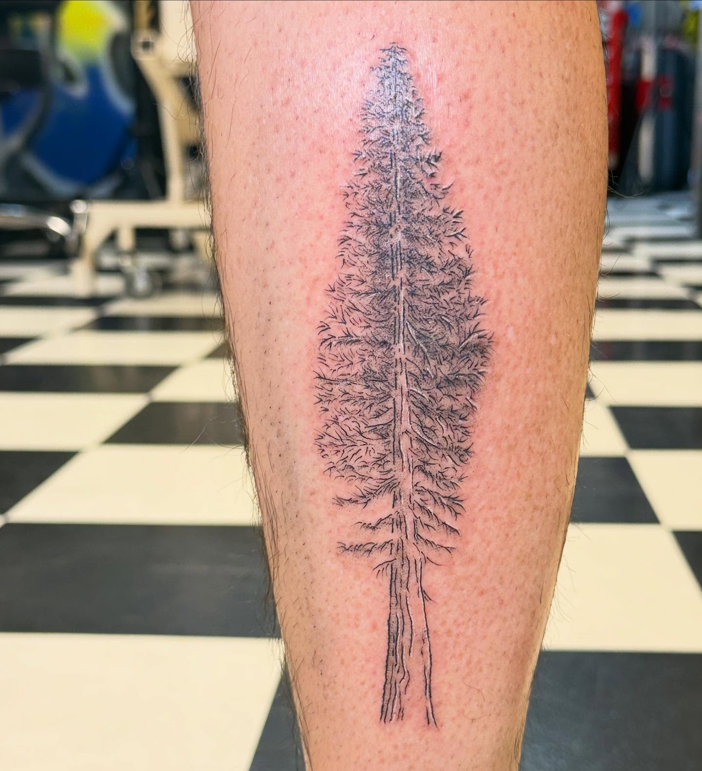 Pine tree black and grey tattoo on the leg by goose 🪿