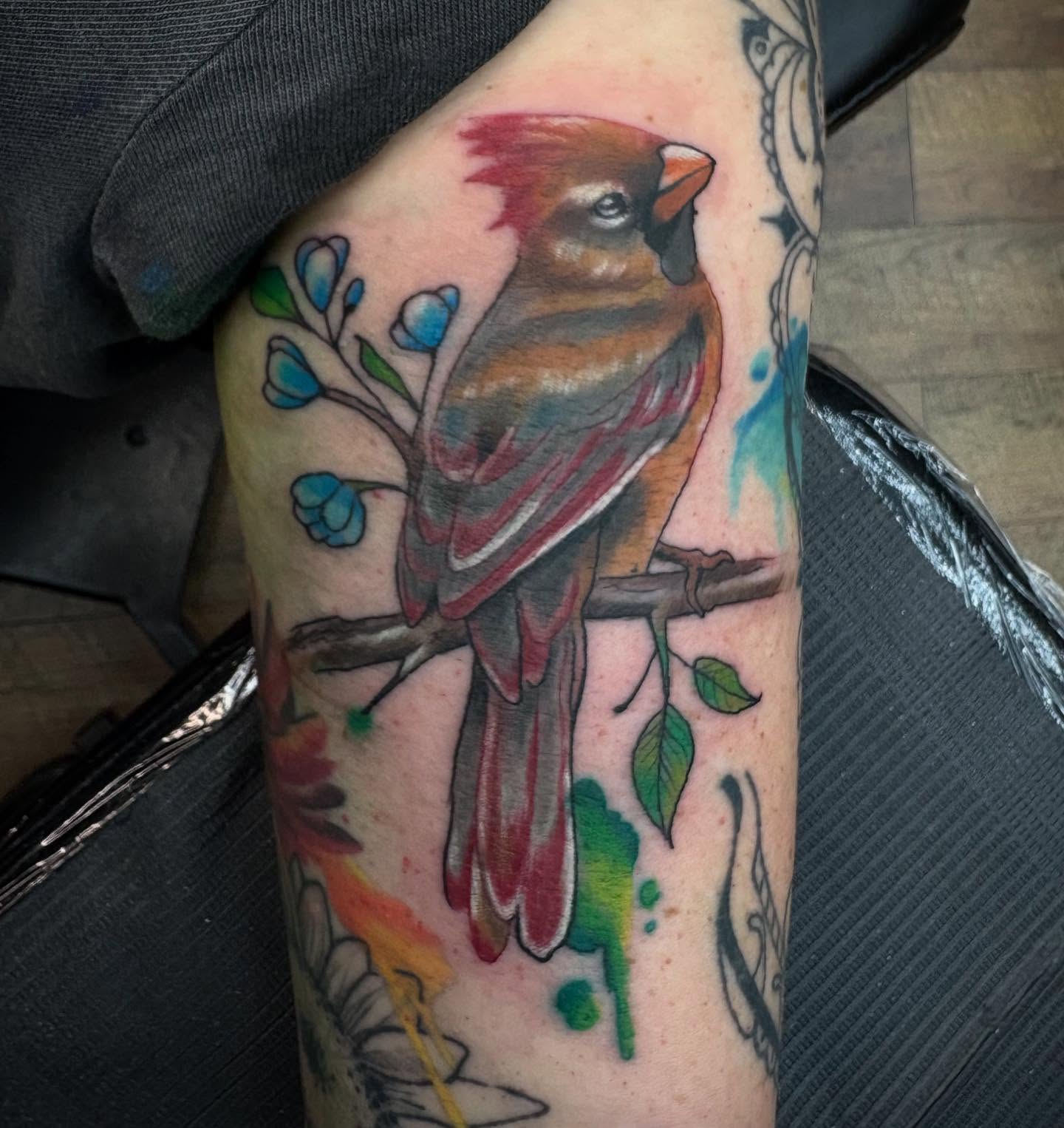 Cardinal bird realism tattoo on the forearm by Robbie Reel, Wichita, Kansas