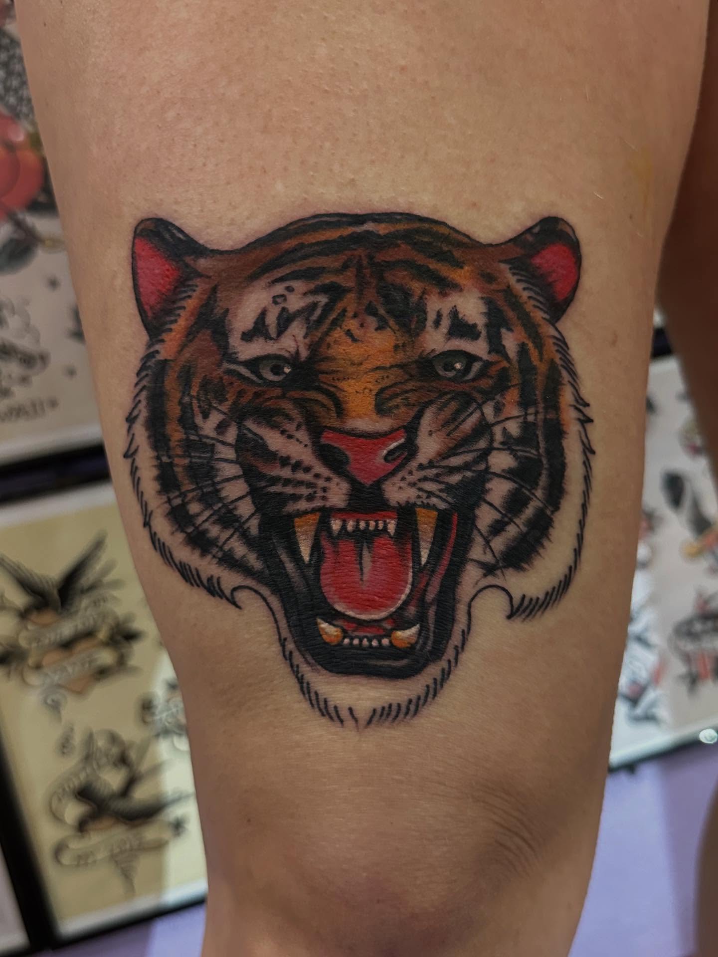 Tiger American traditional tattoo on the forearm by David Evans