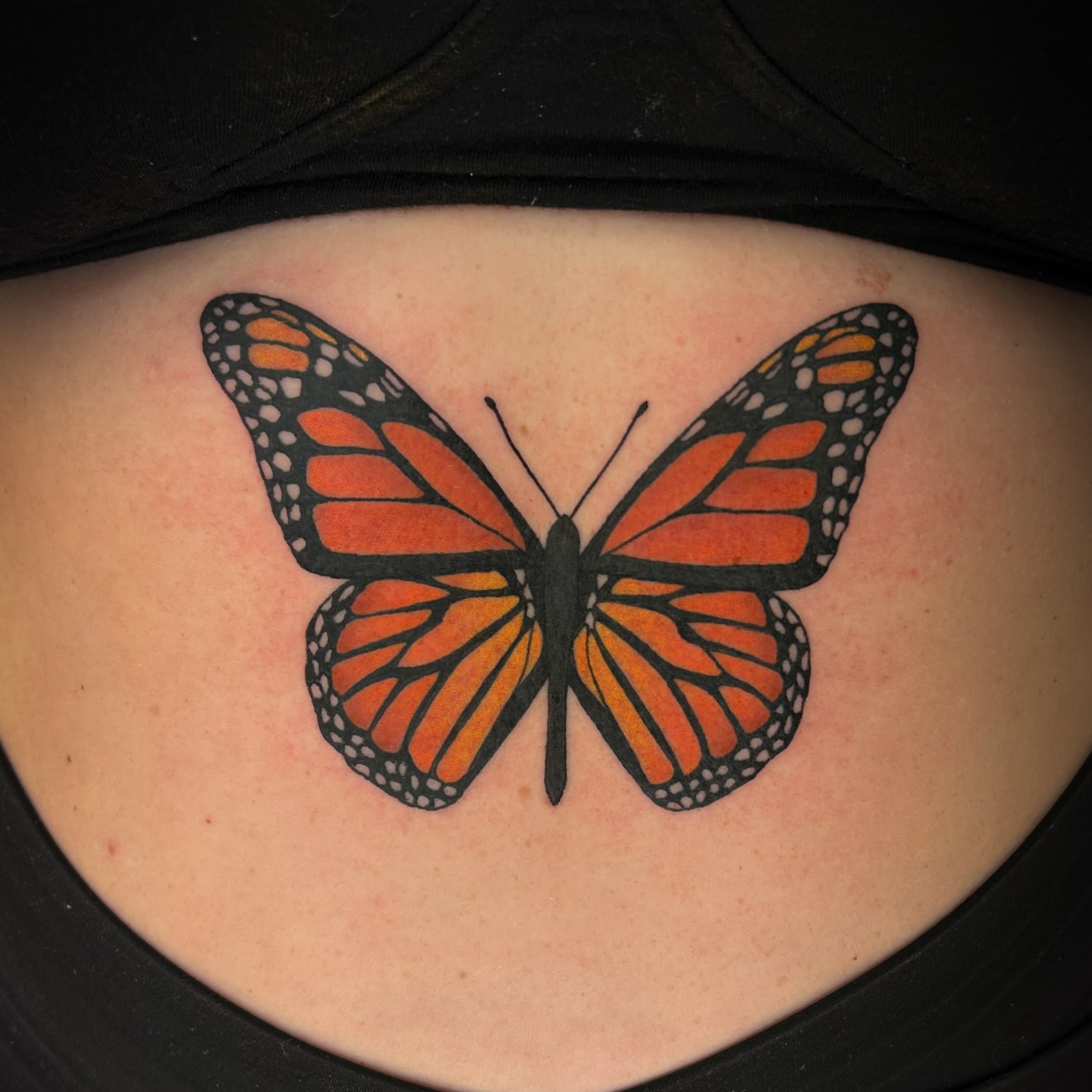 Monarch butterfly dotwork tattoo on the torso by Jessica Oram Brockman, Dayton, Ohio