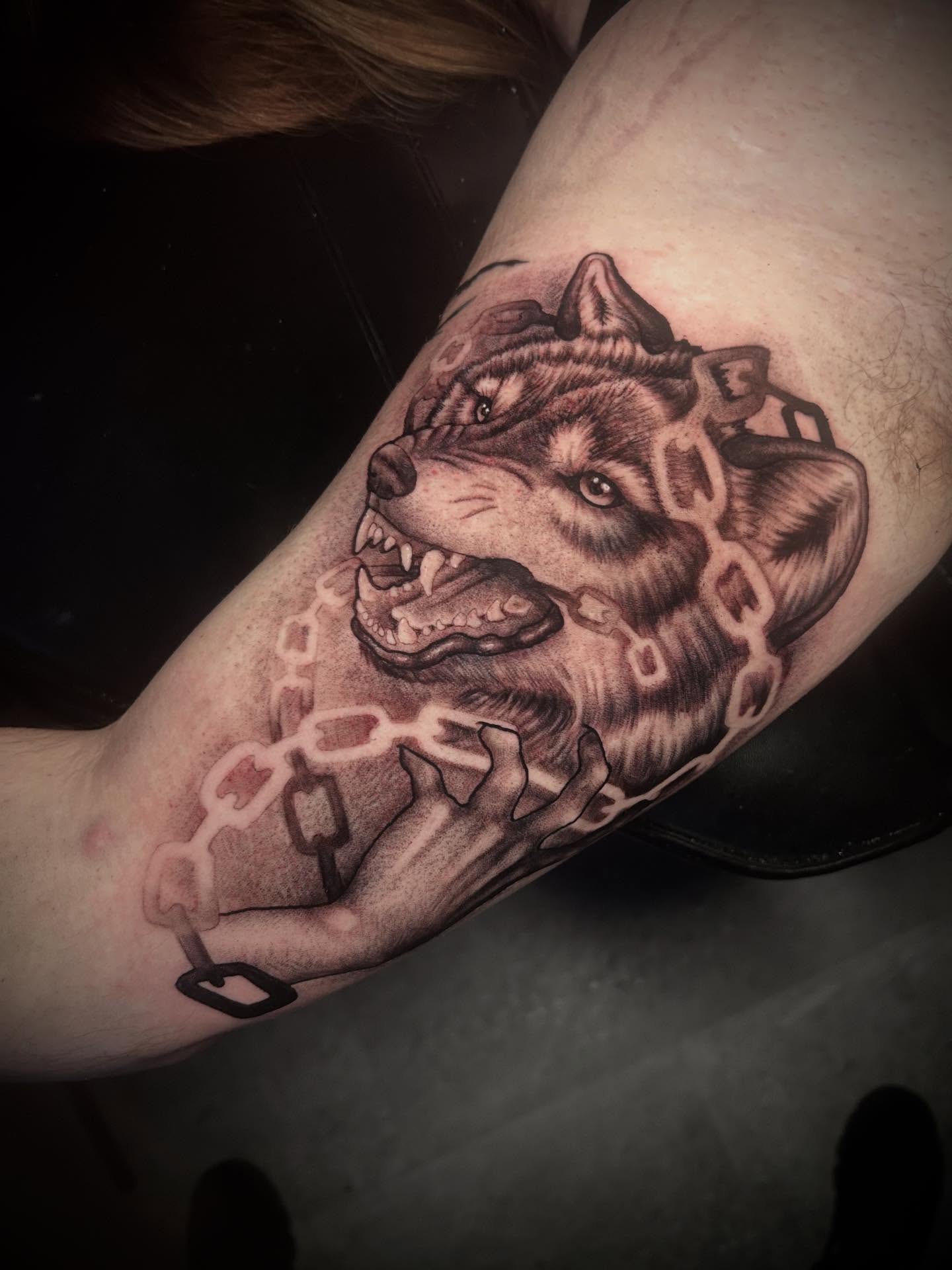 Wolf black and grey tattoo on the forearm by Adrian Michigan Tattoo Artist