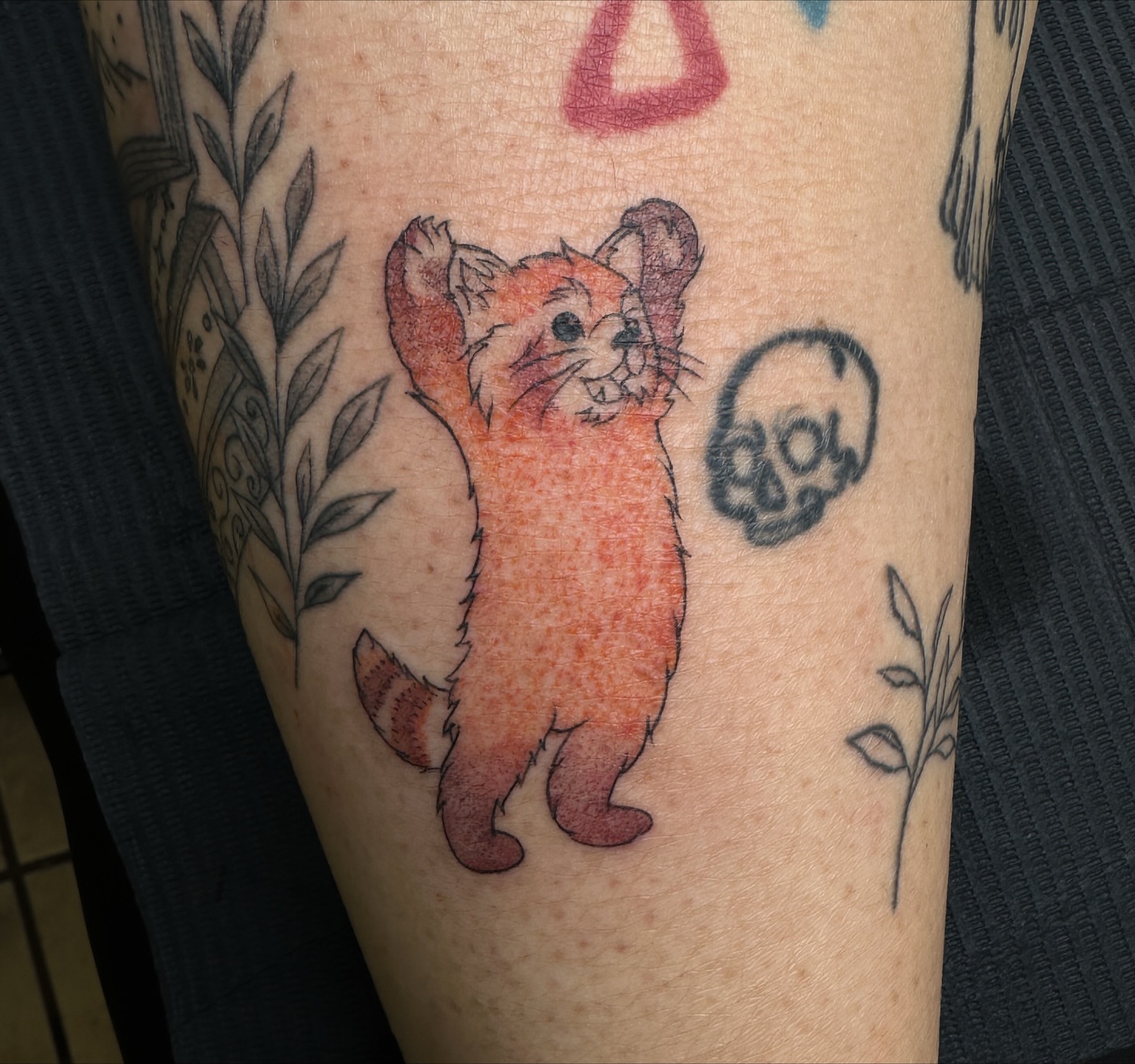 Cat dotwork tattoo on the forearm by caliope yiannos