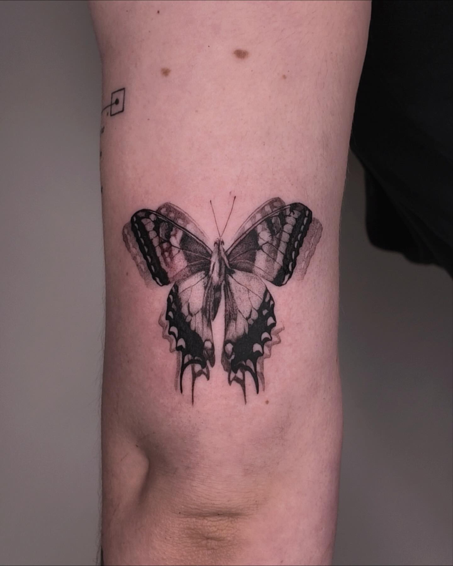 Butterfly realism tattoo on the forearm by Gabriel
