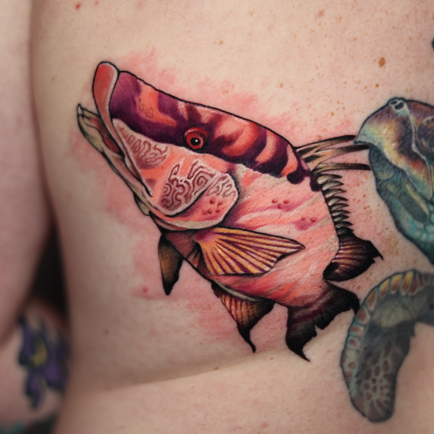 Tattoo by @stevegentile — realism, watercolor
