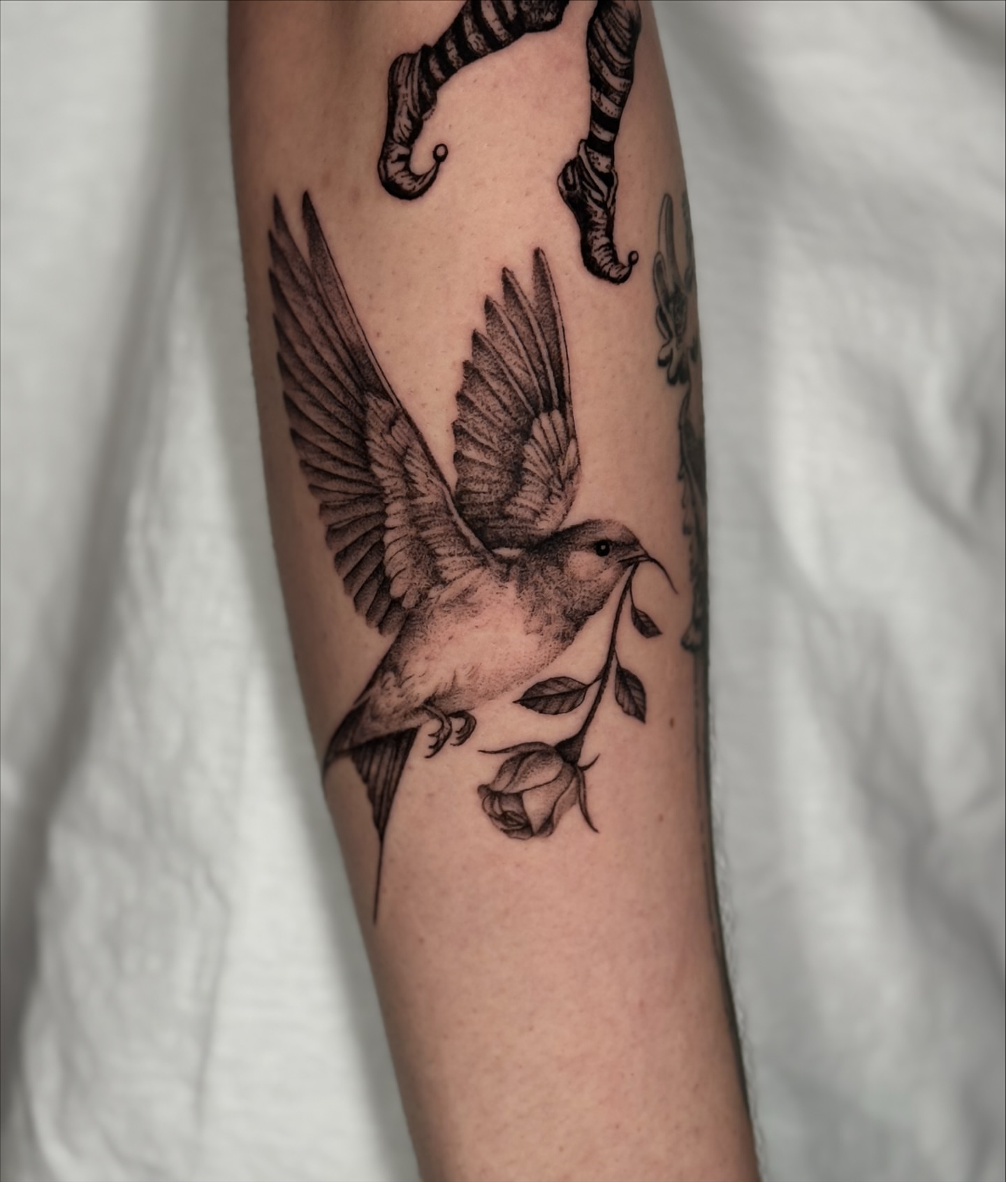 Bird realism tattoo on the forearm by Miami Tattoo Artist, Miami, Florida