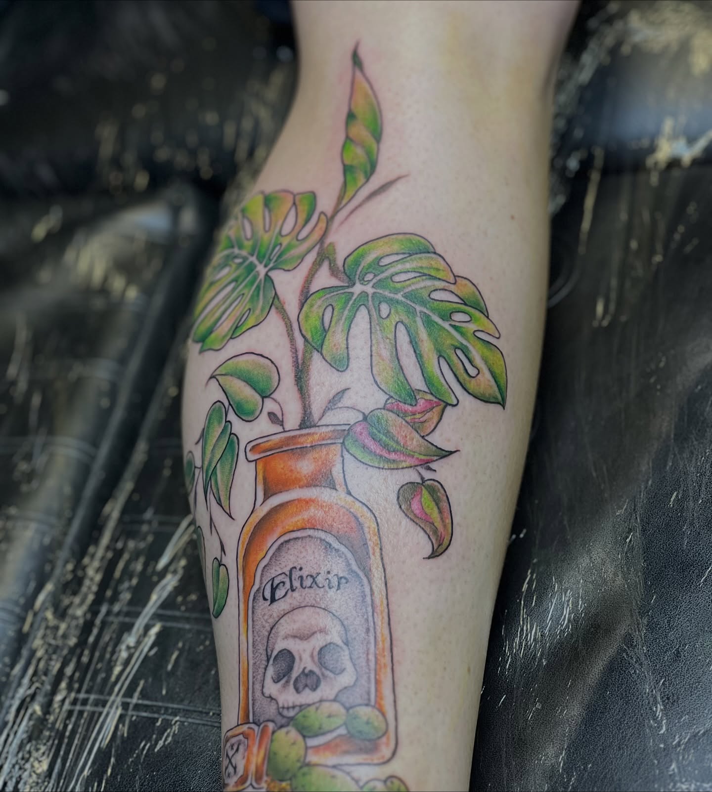 Plant in bottle realism tattoo on the forearm by Dani McBay