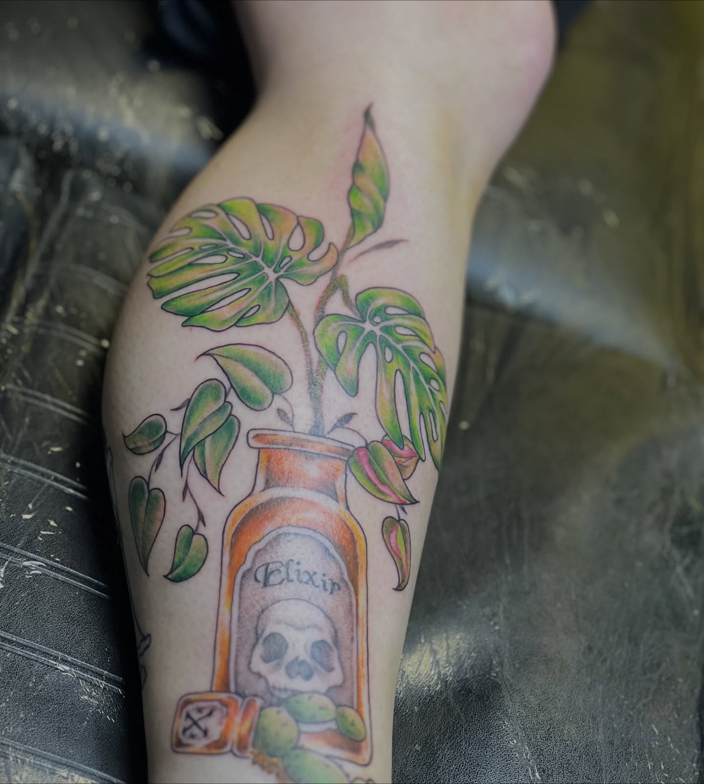 Plant in bottle realism tattoo on the forearm by Dani McBay