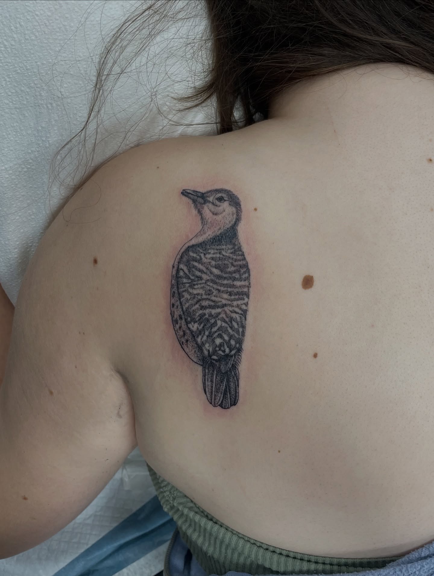 Bird dotwork tattoo on the shoulder by Brittany Brutal