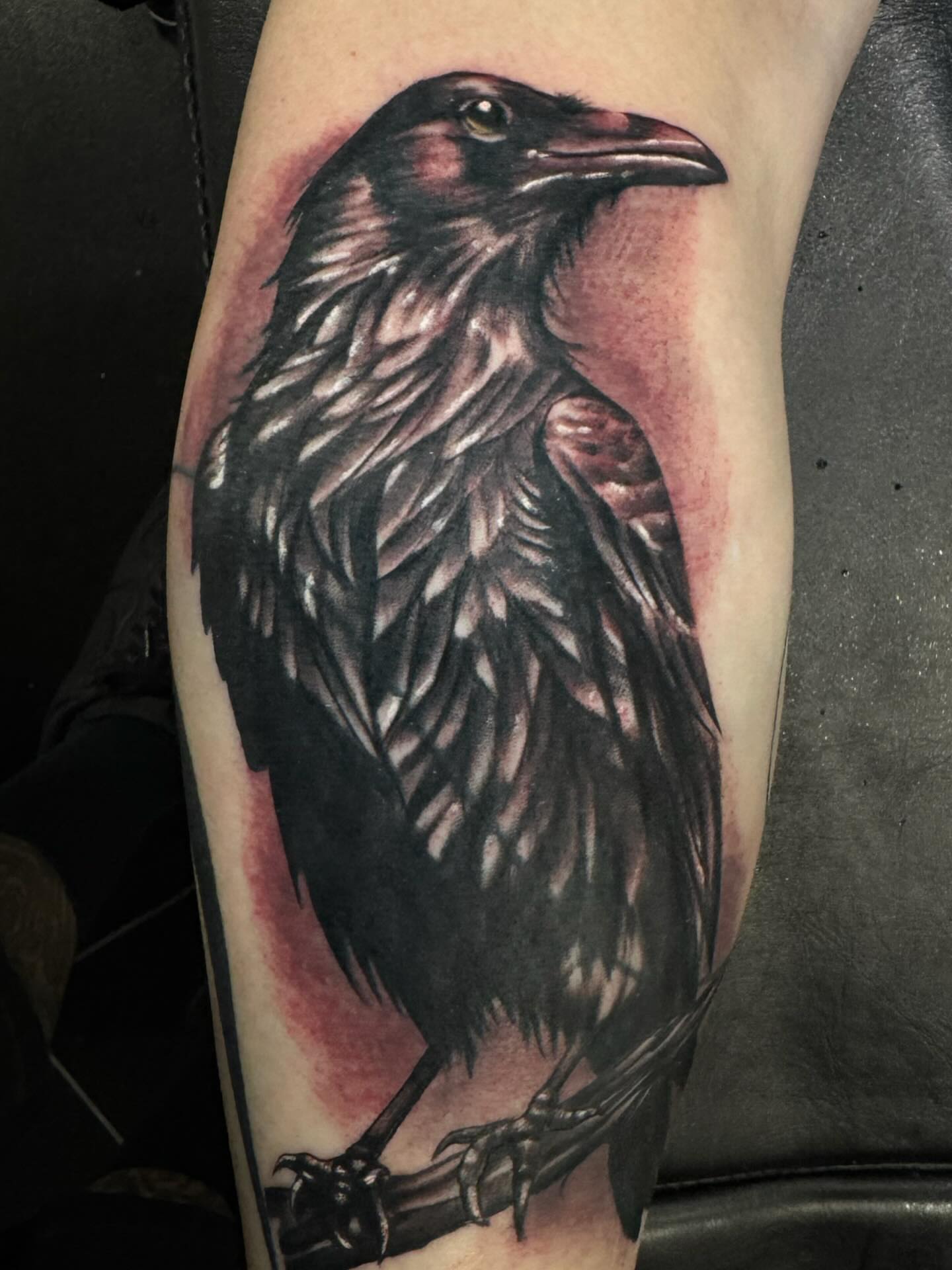 Crow realism tattoo on the forearm by Brian Herrera