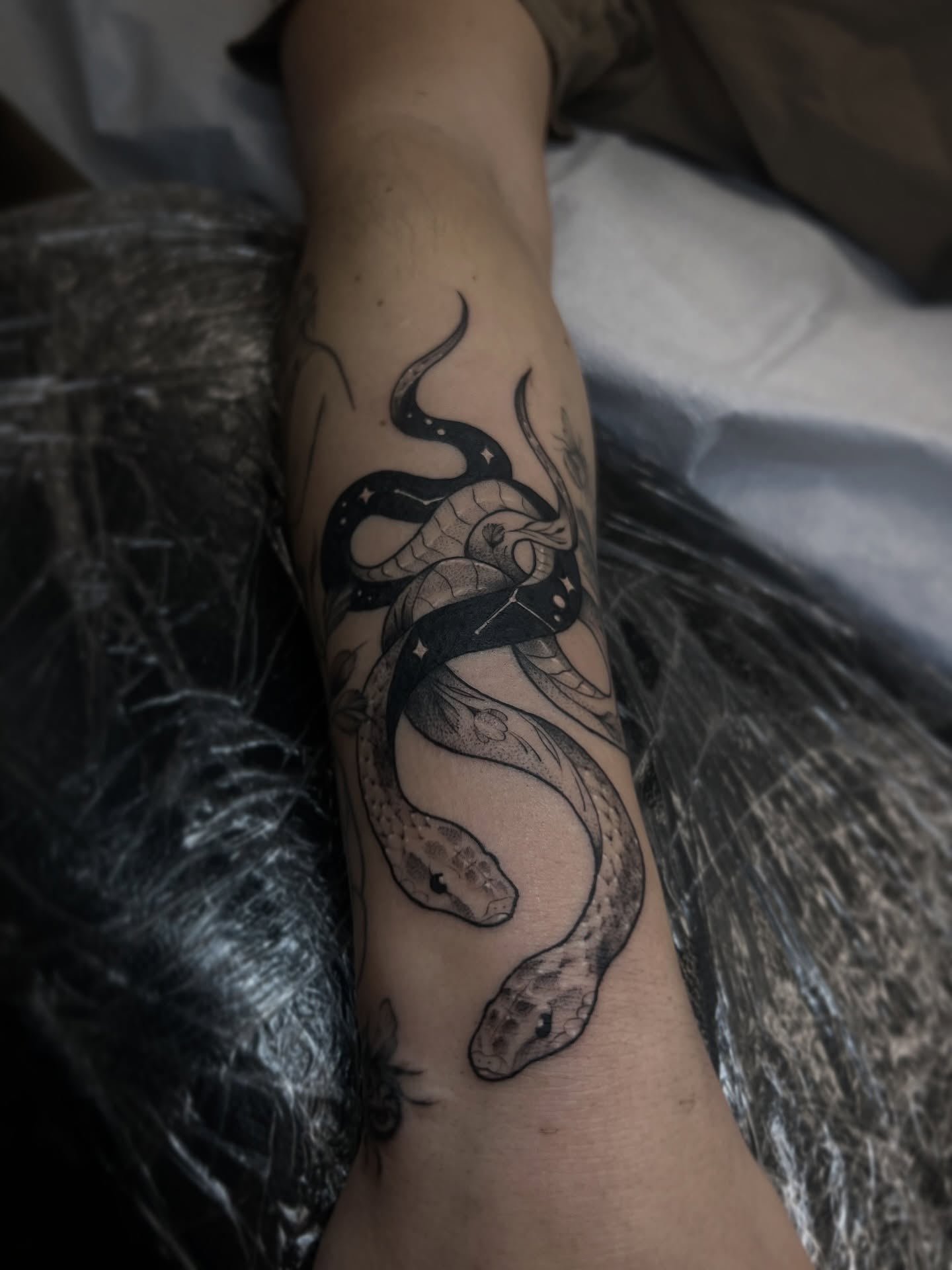 Snake black and grey tattoo on the forearm by Chloe