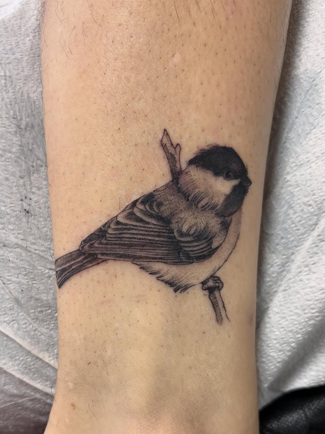 Tattoo by @botanicalsabbath โ realism, black_and_grey