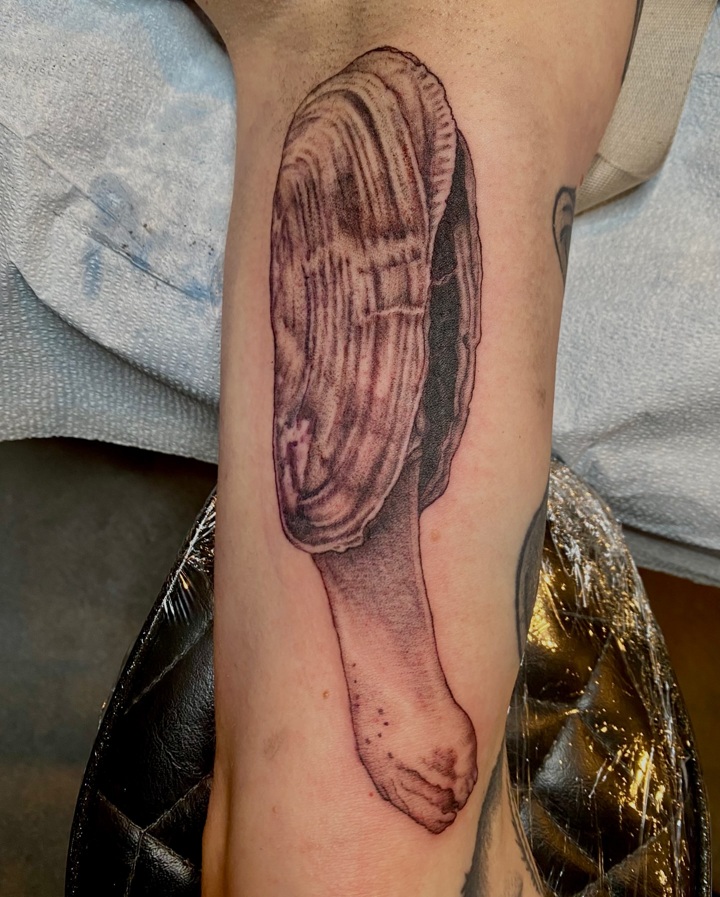 Tattoo by @katelaw_tattoos — realism