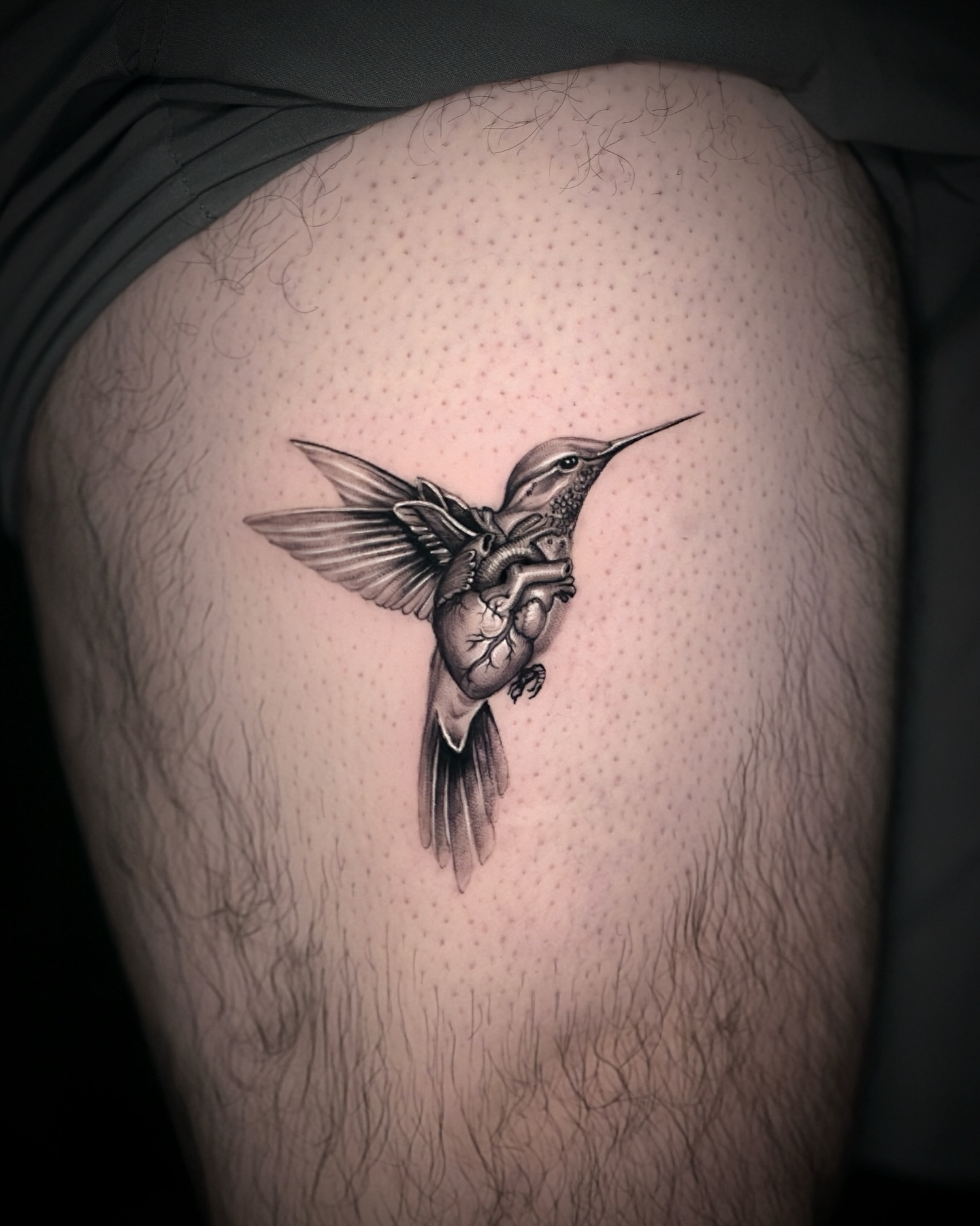 Hummingbird dotwork tattoo on the thigh by Zonghuan Wu