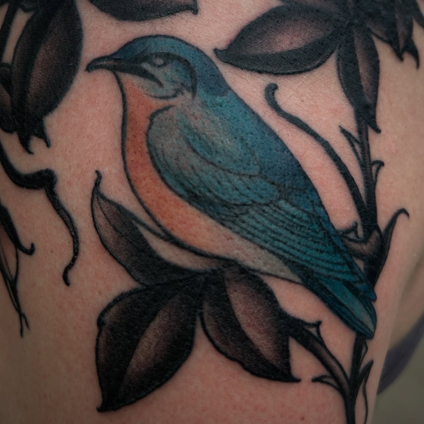 Bird American traditional tattoo on the shoulder by ꧁𝙺𝚊𝚛𝚒𝚗𝚊꧂, Grinnell, Iowa