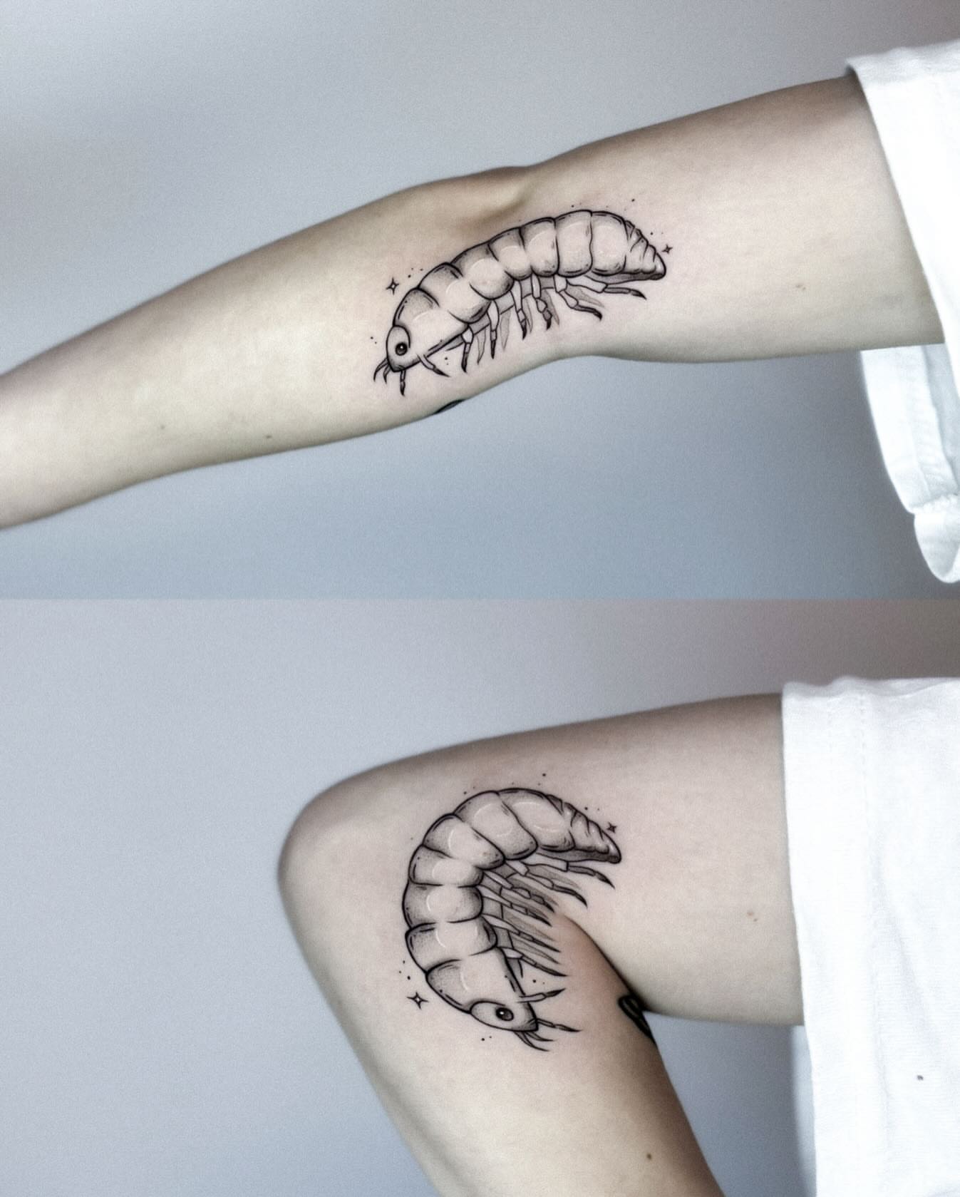 Prawn black and grey tattoo on the forearm by Whimsical Tattoos
