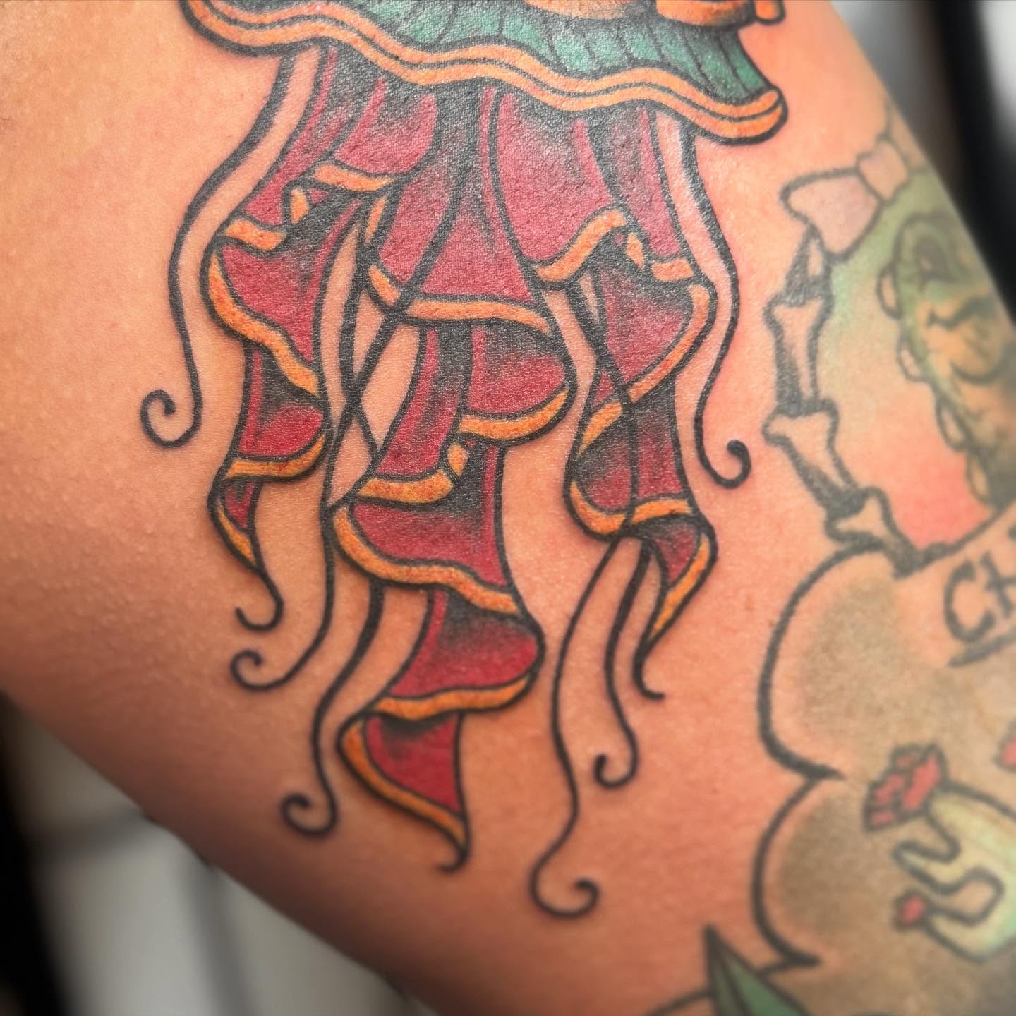 Ruffled fabric American traditional tattoo on the forearm by Justina🪐