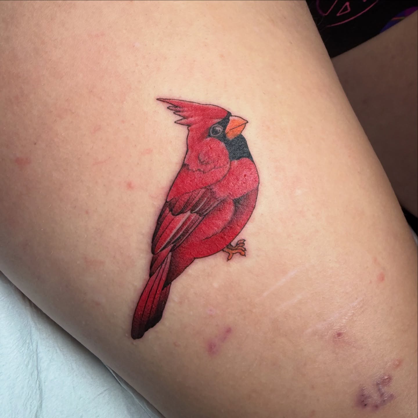 Tattoo by @taybeetattoo — realism
