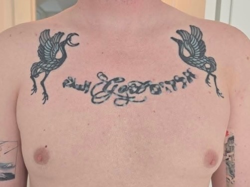Goose black and grey tattoo on the chest by Christen Wolfe CA Tattooer