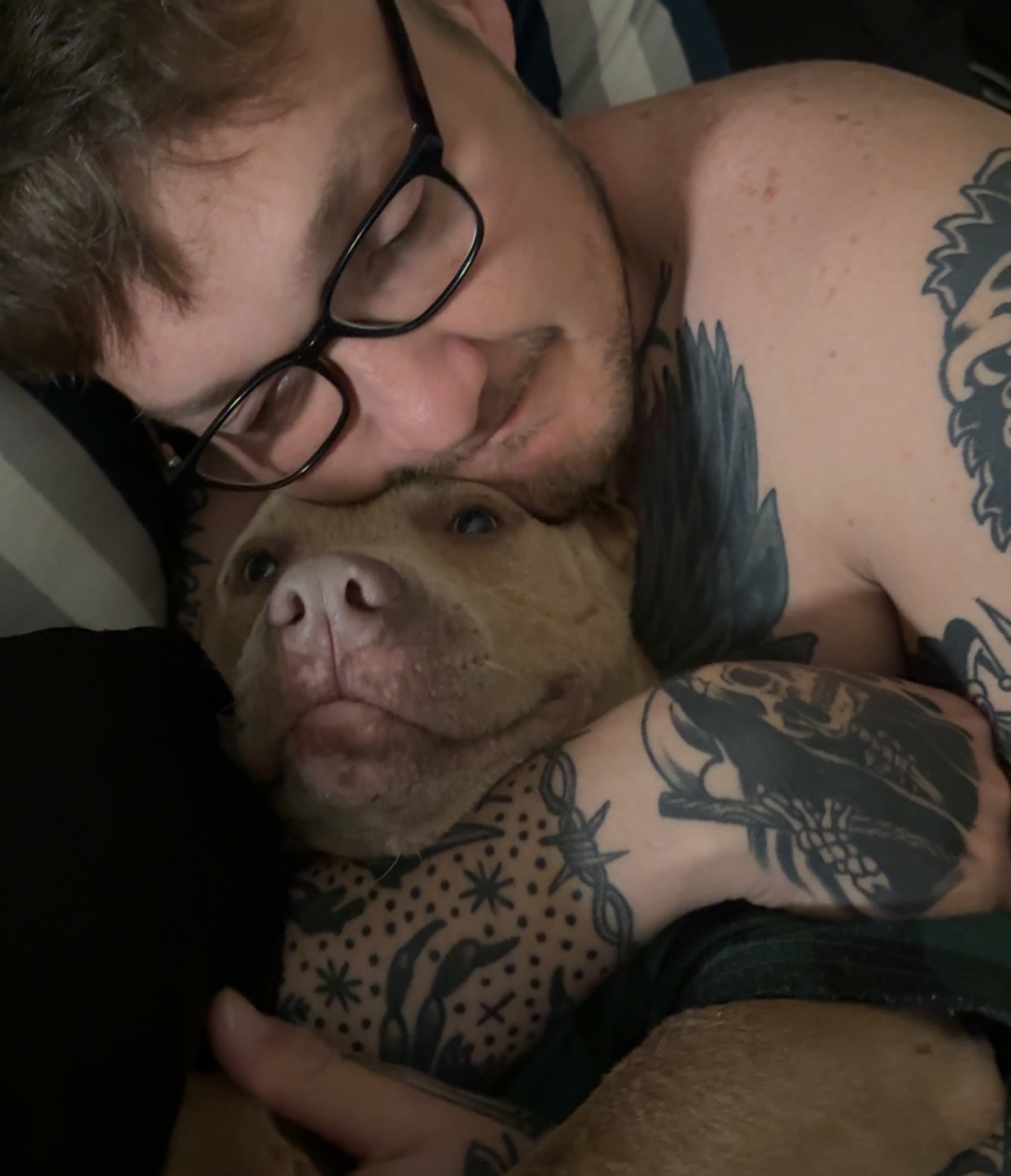 Dog dotwork tattoo on the chest by ♡ 𝒜𝓂𝒾𝓃𝒶 𝐵𝒽𝒶𝓉𝓉𝒾 ♡