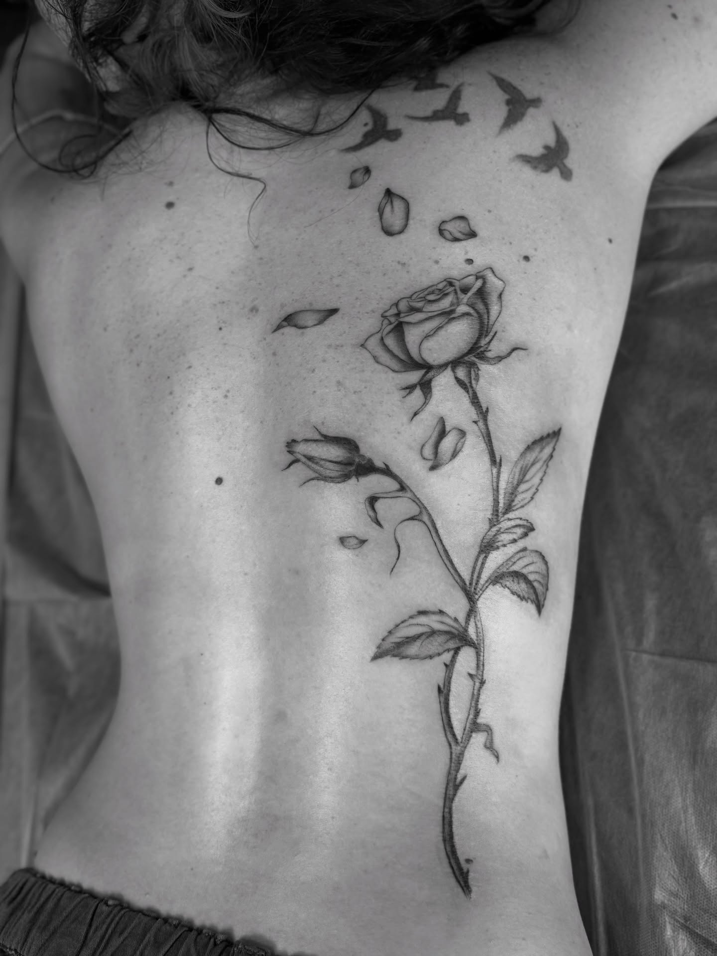 Rose realism tattoo on the back by Bronzino Ink - Karen, Asheville, North Carolina