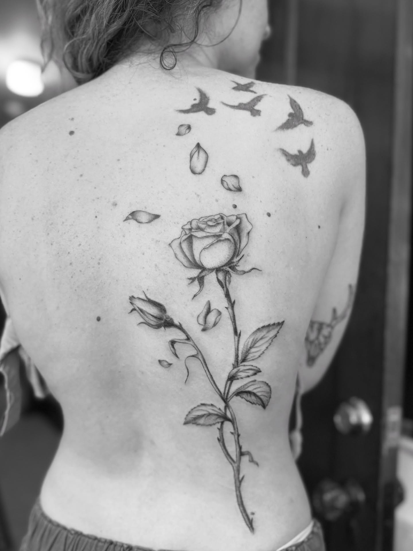 Rose and birds realism tattoo on the back by Bronzino Ink - Karen, Asheville, North Carolina