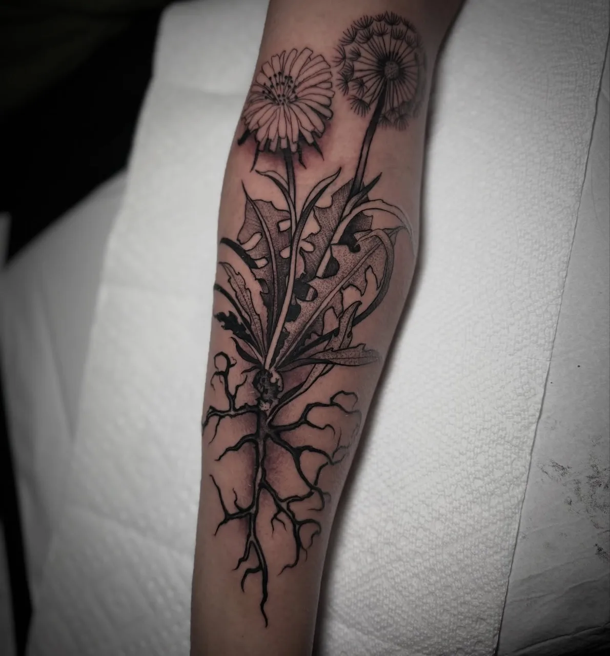 Dandelion and roots black and grey tattoo on the forearm by David Mushaney