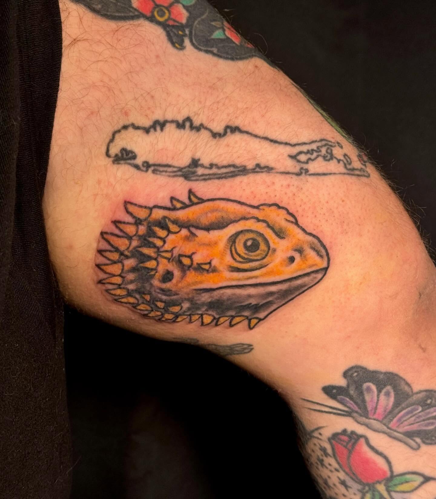 Bearded dragon realism tattoo on the forearm by Paris Romano
