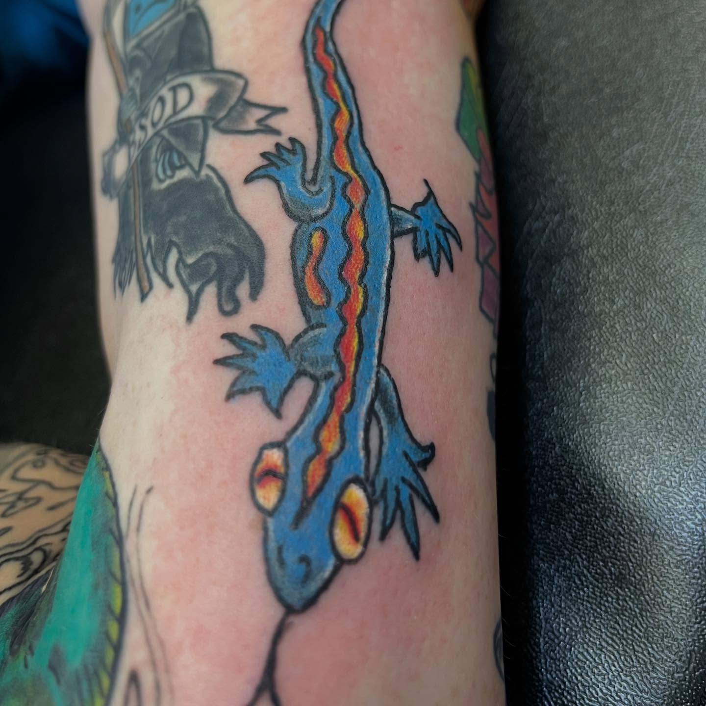 Tattoo by @tattoosicando_ — american_traditional