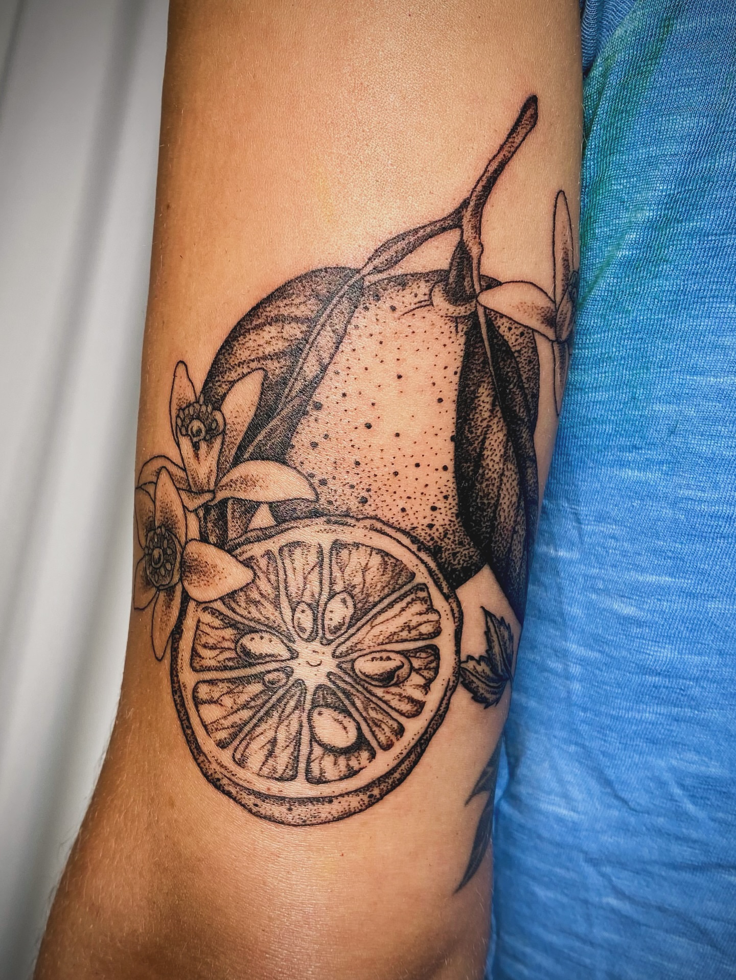 Citrus fruit dotwork tattoo on the forearm by Maddie Morrill