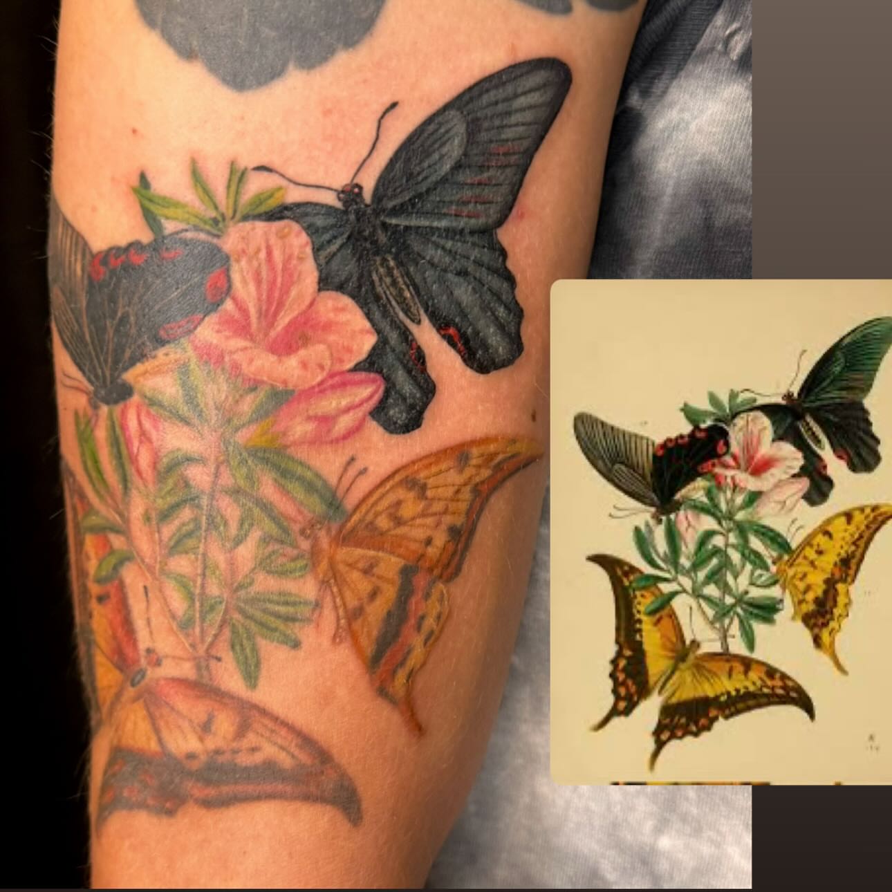 Butterflies and flowers realism tattoo on the forearm by Enda 🧚🏻‍♀️
