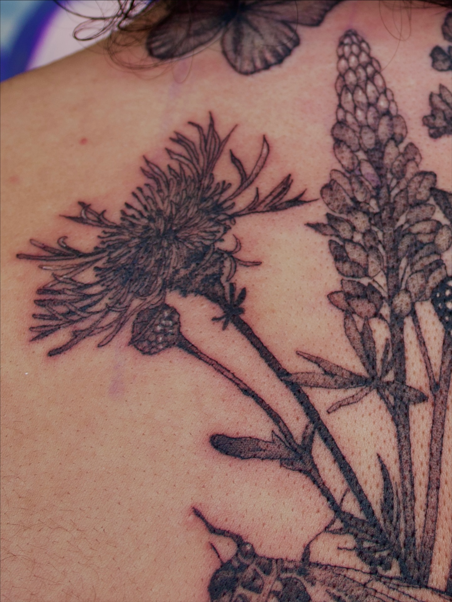 Tattoo by @creatureoutside — black_and_grey