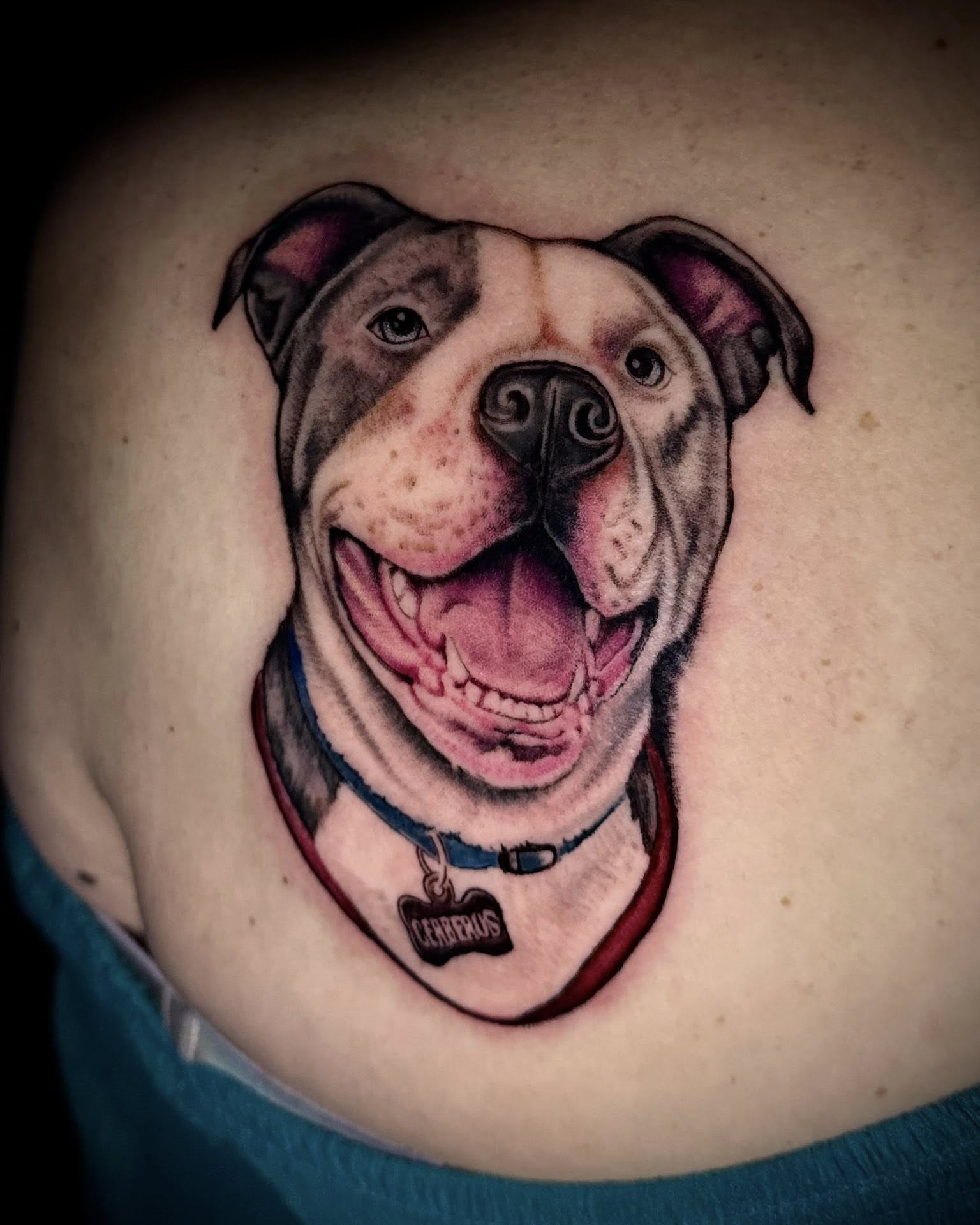 Pit bull realism tattoo on the shoulder by Ricky Salinas Jr. π€, San Antonio, Texas