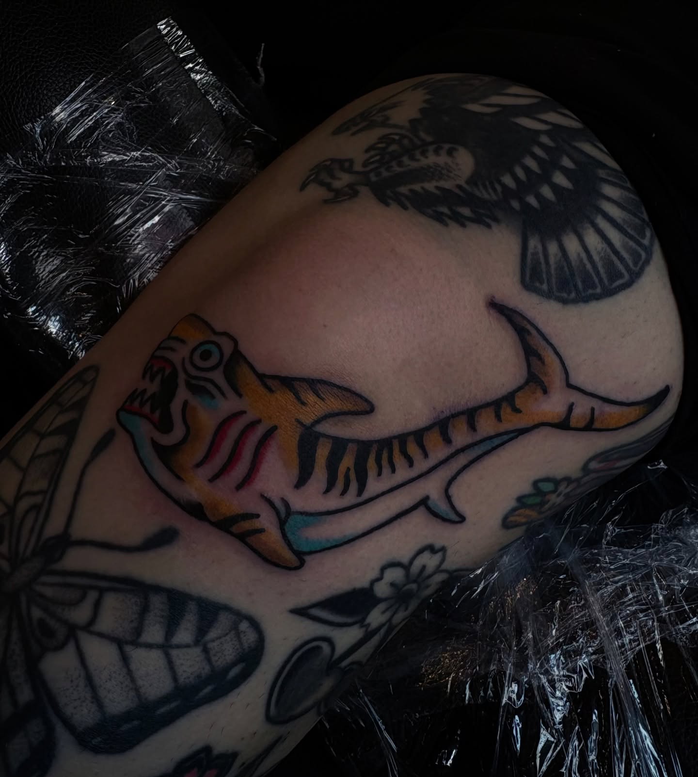 Shark American traditional tattoo on the thigh by 𓂃˚‧ 𓆸𝔏𝔦𝔫𝔷 ℭ𝔥𝔞𝔡𝔴𝔦𝔠𝔨 ੈ𑁍