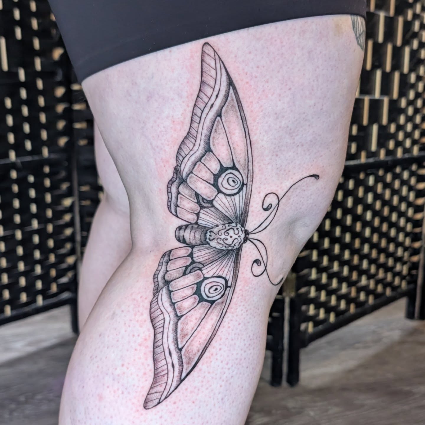 Moth black and grey tattoo on the thigh by Michaela May