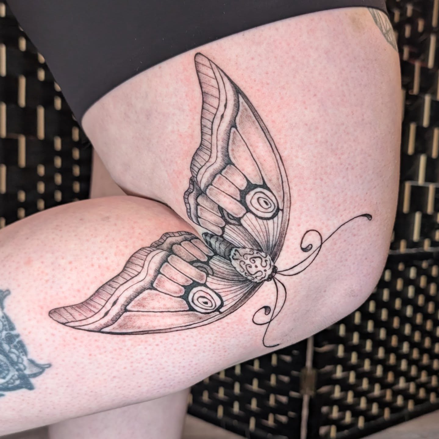 Moth black and grey tattoo on the thigh by Michaela May