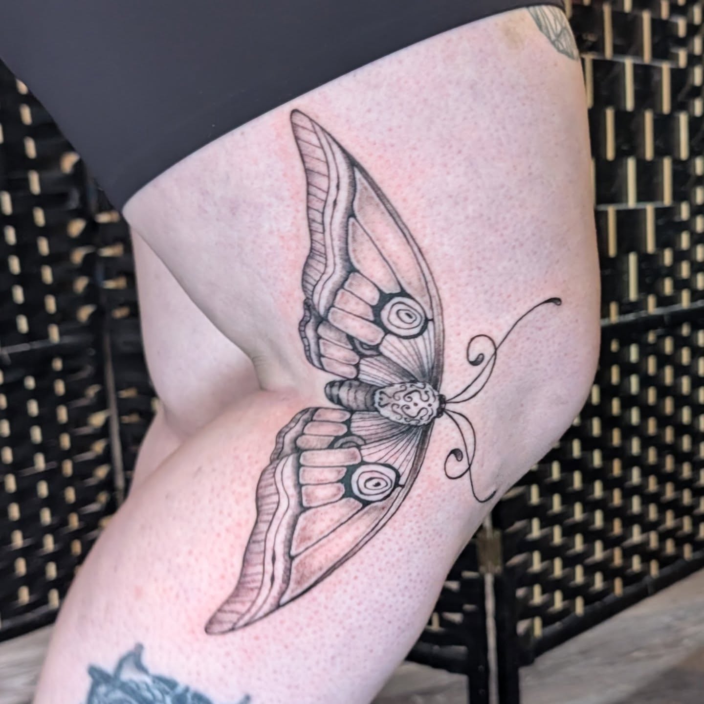 Moth black and grey tattoo on the forearm by Michaela May