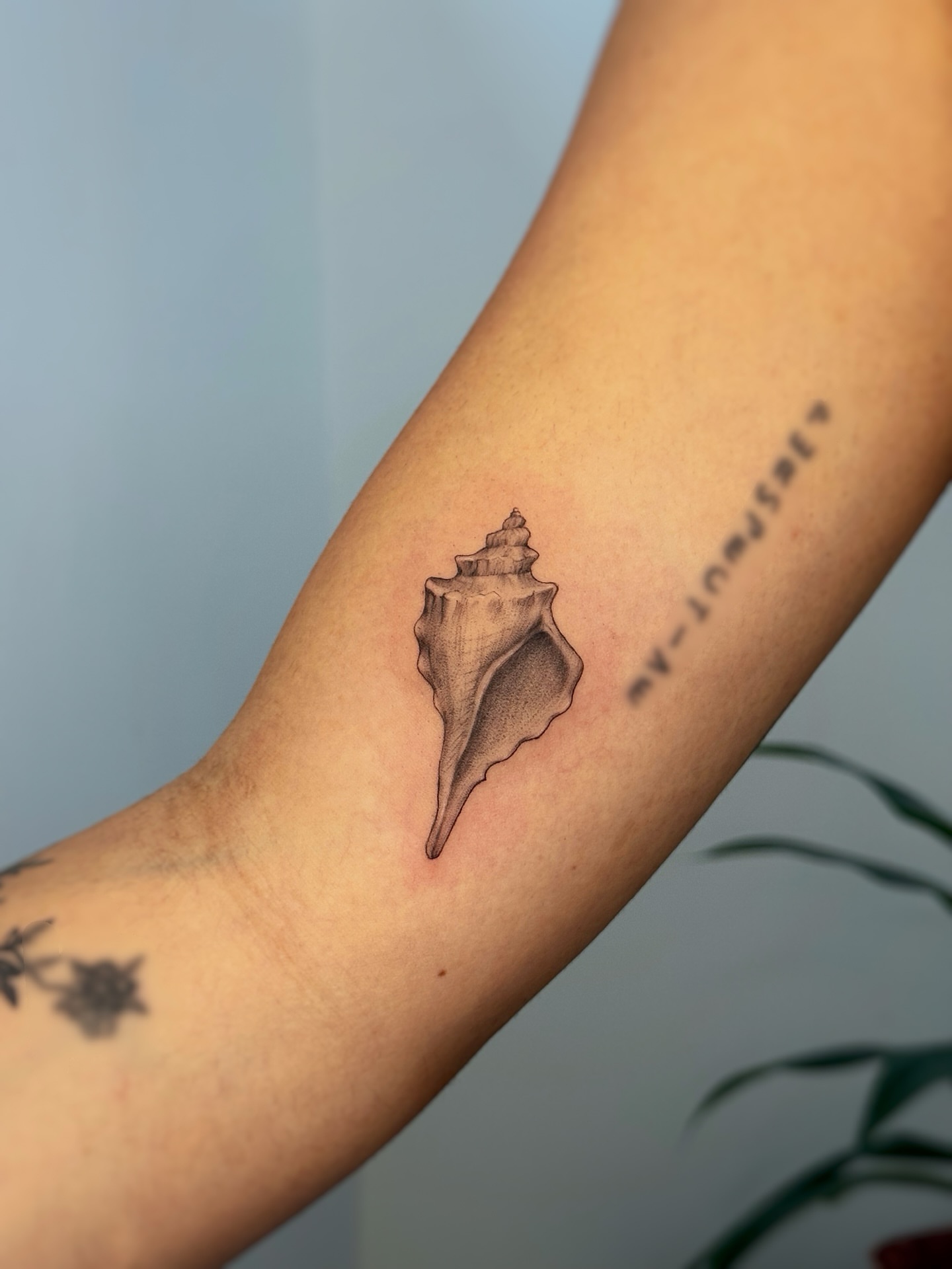 Conch shell black and grey tattoo on the forearm by Gianna Rodriguez