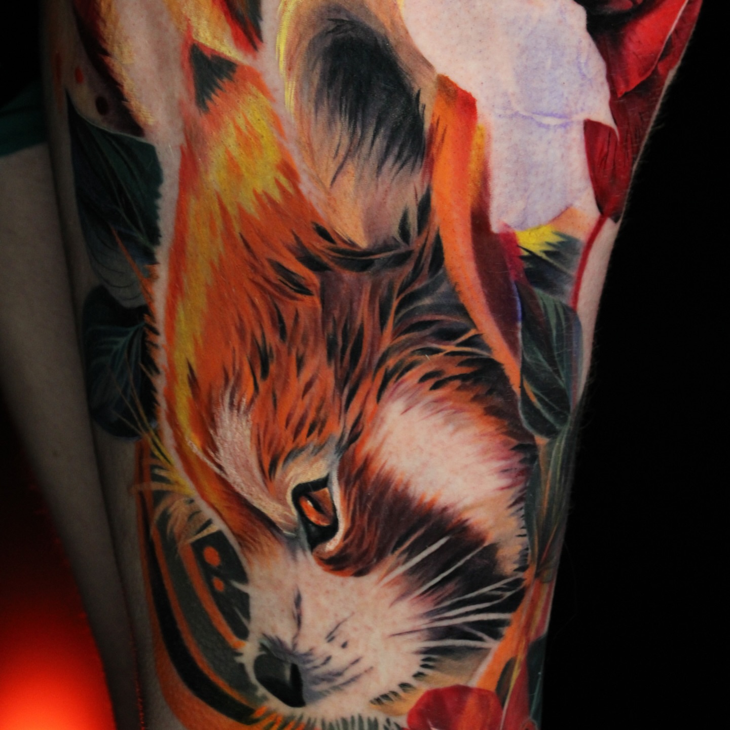 Cat realism tattoo on the forearm by Eva Williams