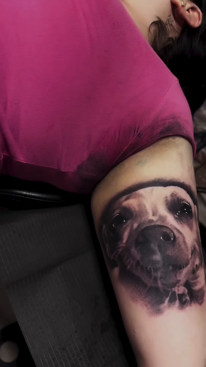 Dog portrait realism tattoo by Jason Martinez