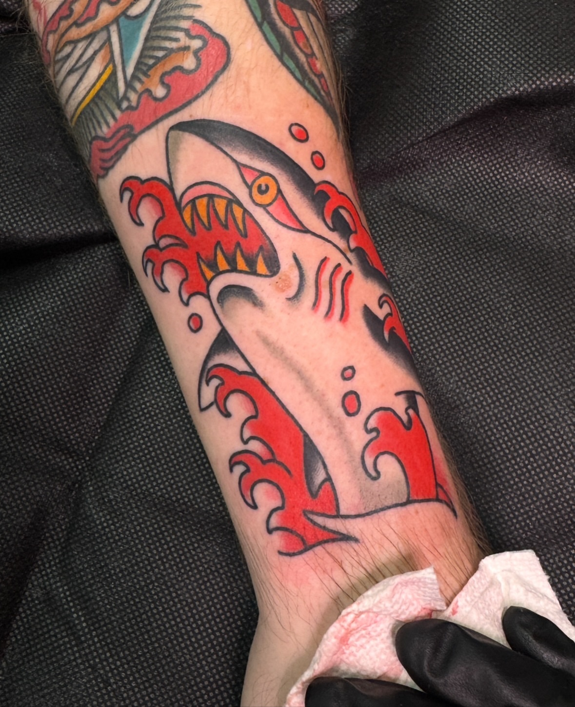 Shark American traditional tattoo on the forearm by Tannis - Traditional Tattoos in Richmond, VA, Richmond, Virginia