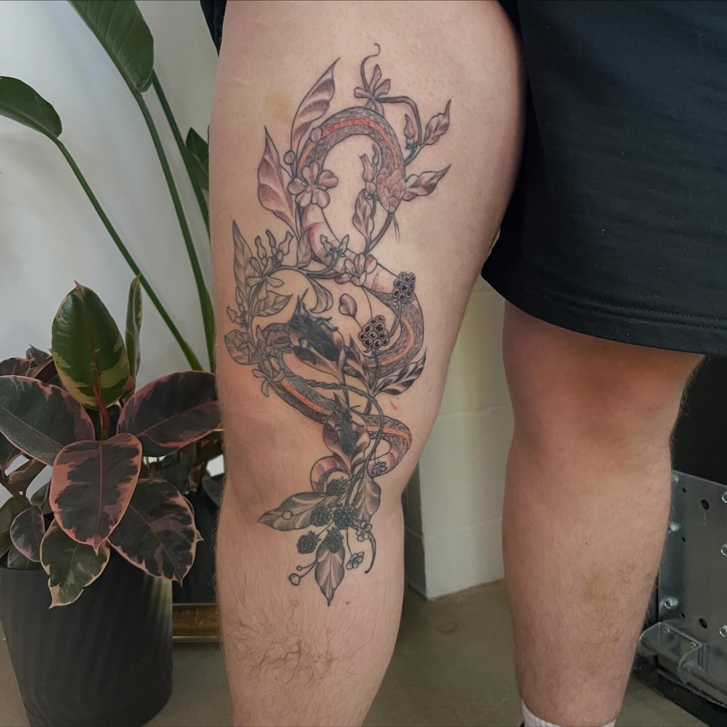 Tattoo by @nimimatattoo — black_and_grey, ornamental