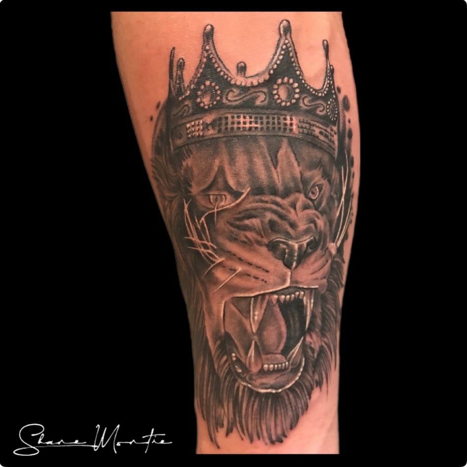 Lion with crown realism tattoo on the forearm by Shane Montie, Killeen, Texas