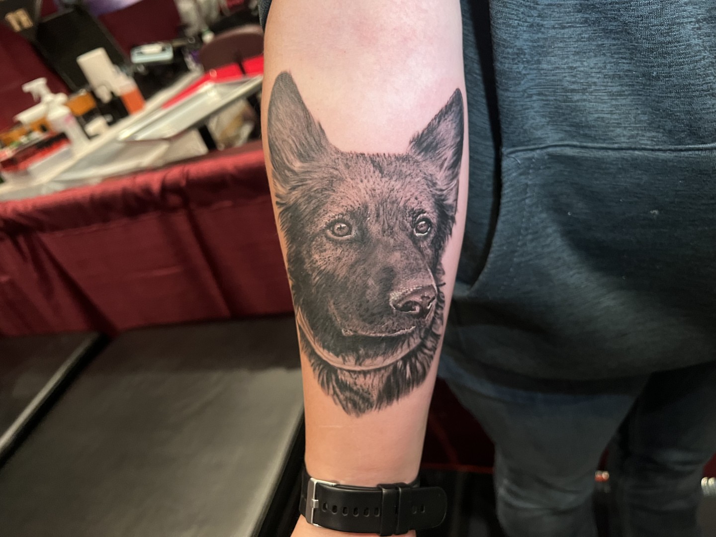 Dog realism tattoo on the forearm by ℝ𝕚𝕔𝕜 ℂ𝕙𝕚𝕣𝕕𝕠𝕟