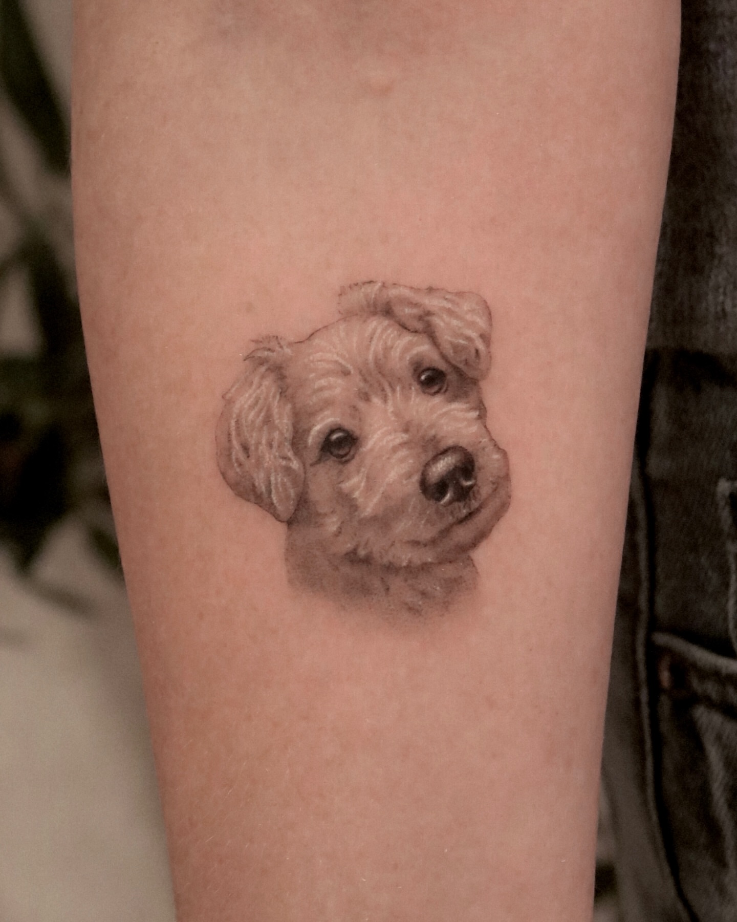 Dog realism tattoo on the forearm by Nicholas Solomon