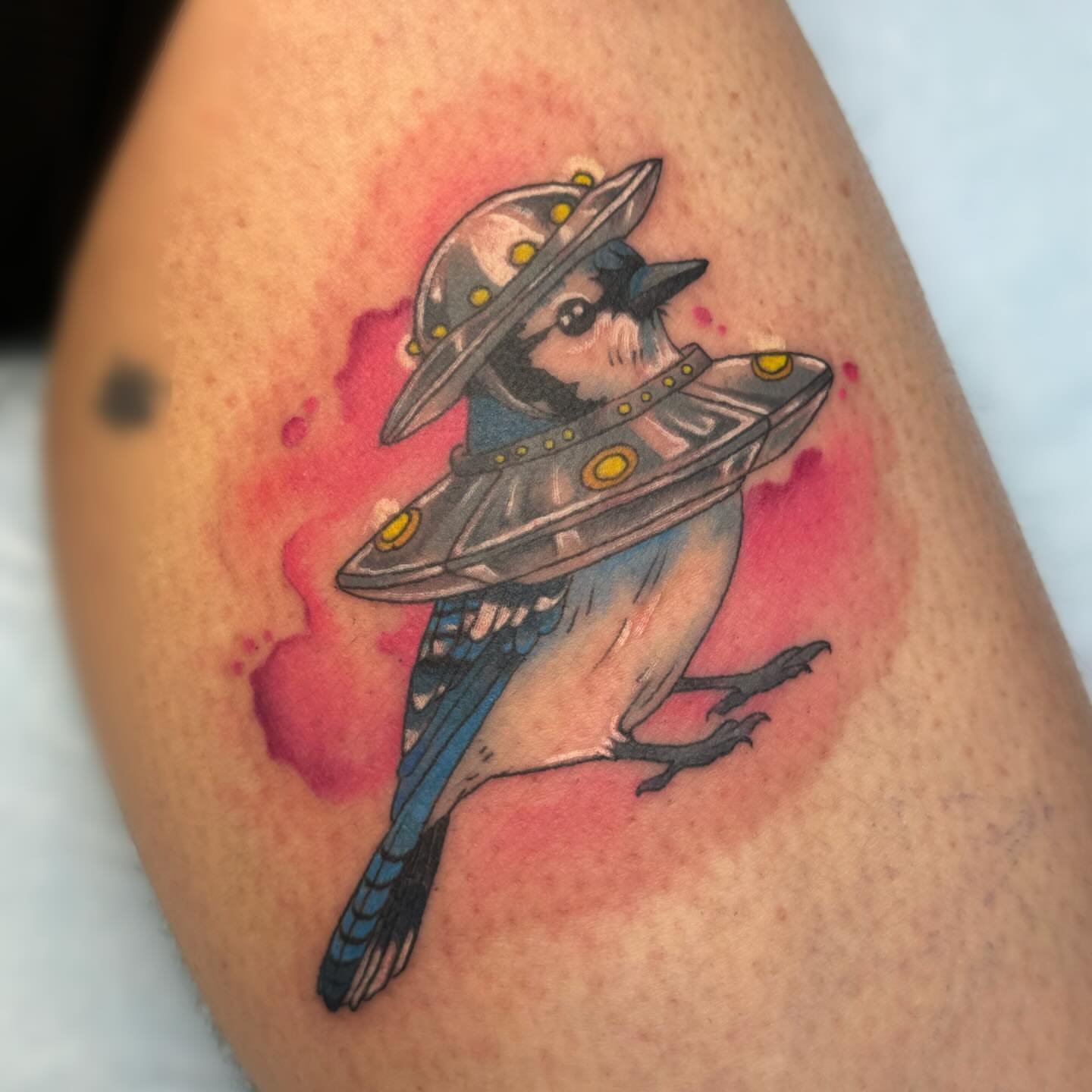 Blue jay with UFO helmet watercolor tattoo on the thigh by Elly Bordwell